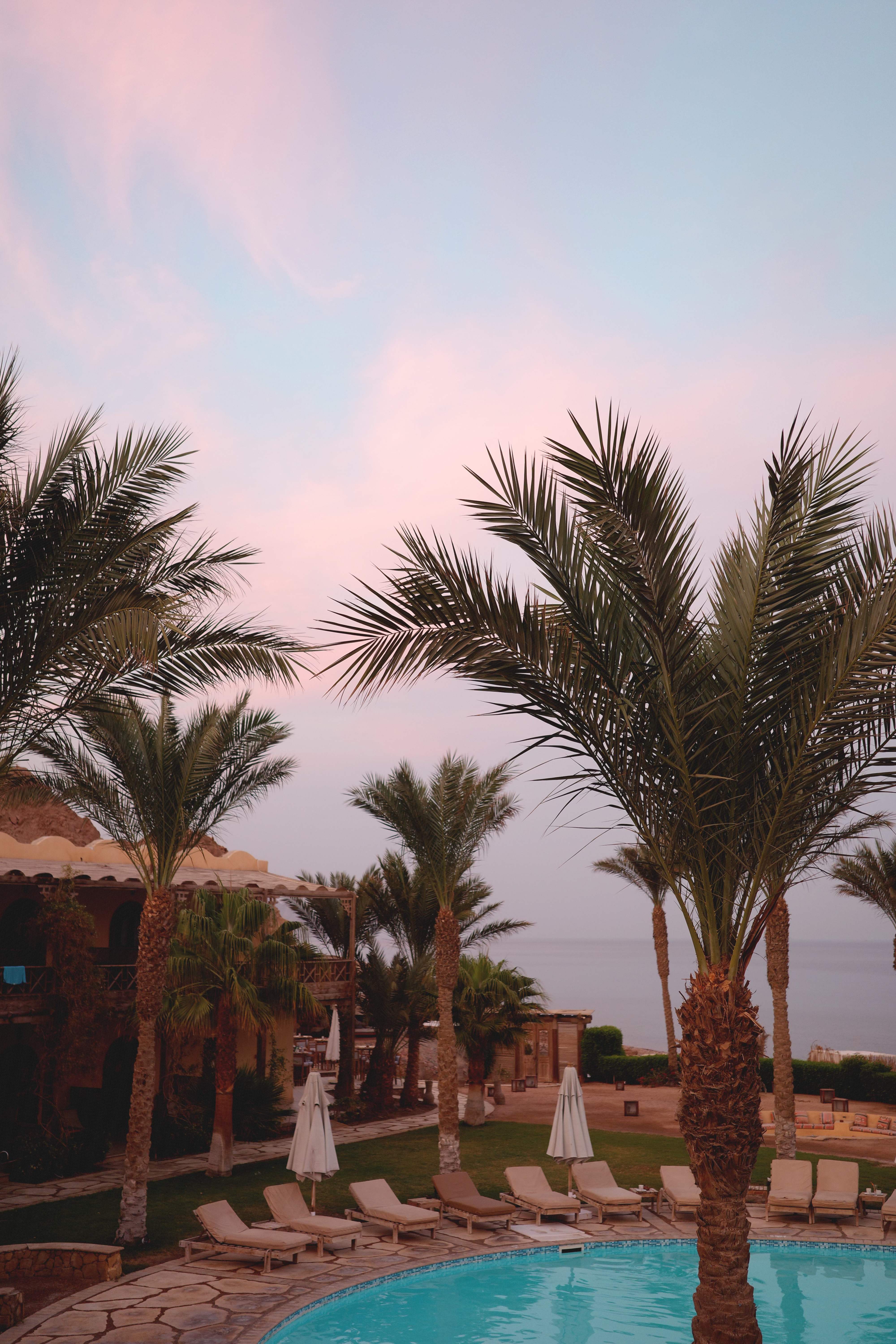 Dahab Paradise Pool at Sunset